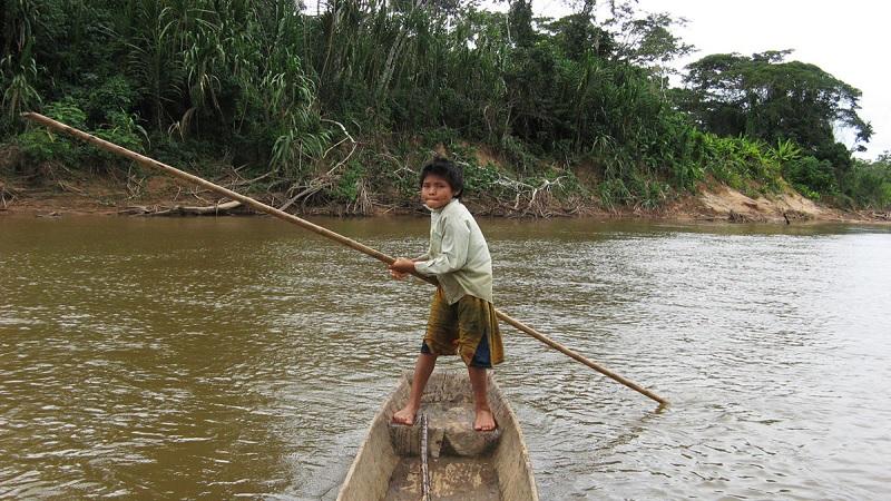 Indígenas de tribo amazônica têm melhor saúde cardíaca e cerebral do mundo-0