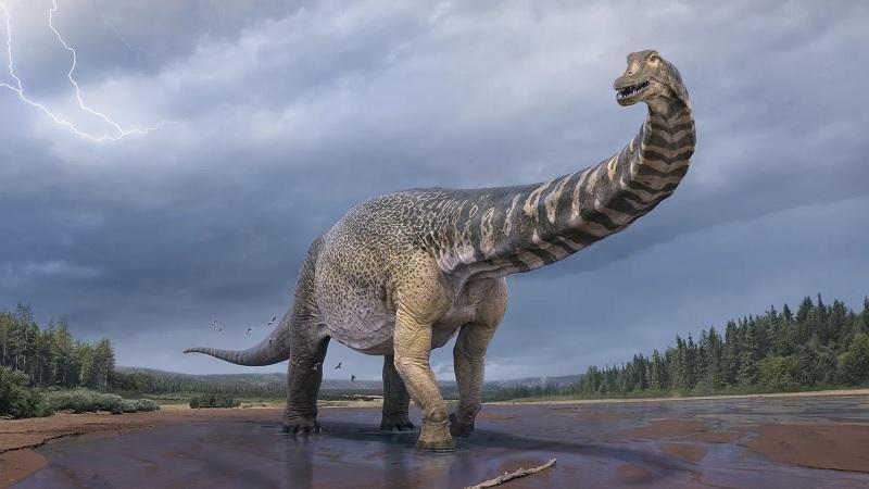 Um dos maiores dinossauros do mundo é encontrado na Austrália-0