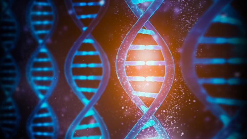 Histórico: cientistas conseguem sequenciar o genoma humano completo pela primeira vez-0