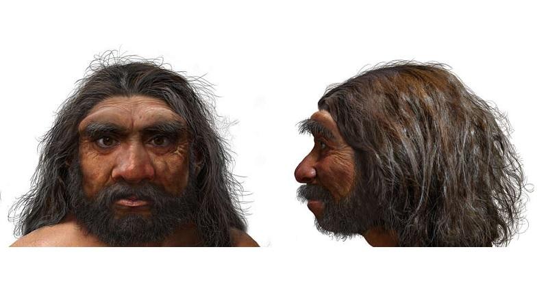 Descoberta de "homem dragão" e hominídeo de Israel muda história da evolução humana-0
