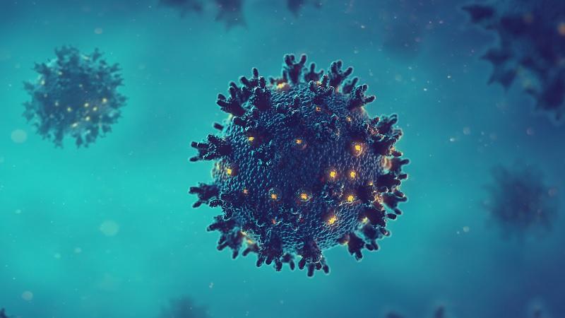 Humanidade enfrentou epidemia de coronavírus há 20 mil anos, aponta estudo-0