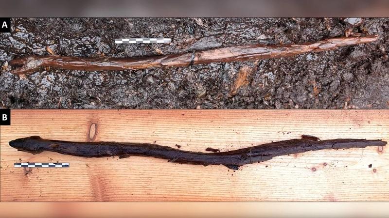 "Cajado místico" de 4400 anos em forma de serpente é encontrado na Finlândia-0