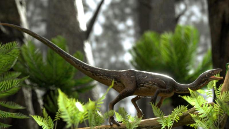 Dinossauros mais velhos do mundo foram encontrados no Rio Grande do Sul-0
