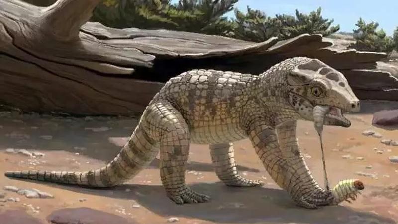 Fóssil de crocodilo em miniatura de 80 milhões de anos é identificado em Minas Gerais-0