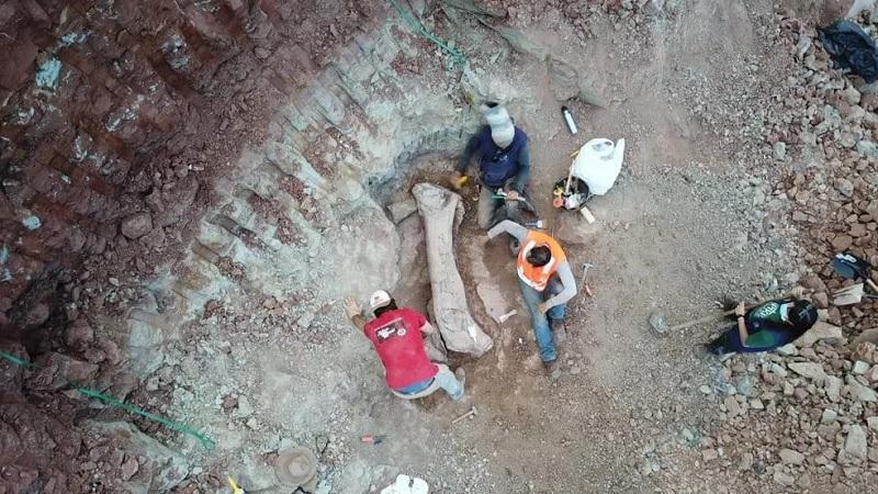 Fóssil de dinossauro gigante é encontrado no Maranhão-0