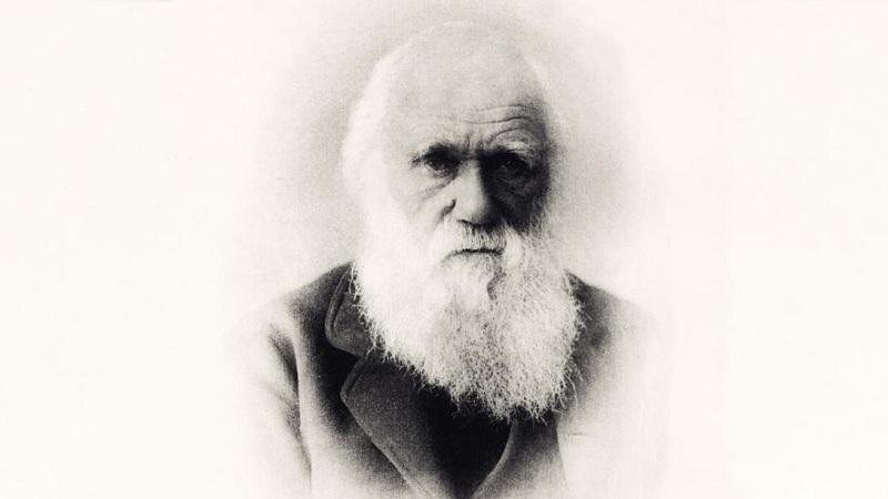 A outra obra-prima de Charles Darwin que quase ninguém conhece-0