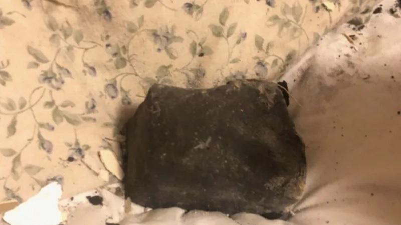 Mulher é acordada por meteorito que caiu em sua cama no Canadá-0