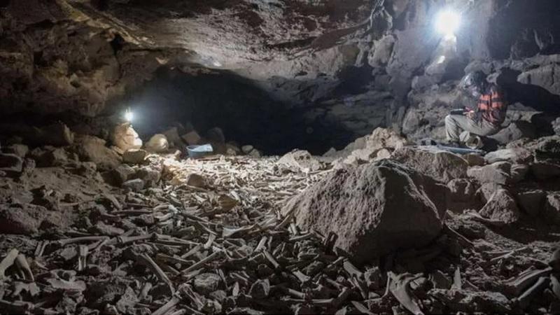 Enorme pilha de ossos de humanos e animais é encontrada em caverna na Arábia Saudita-0