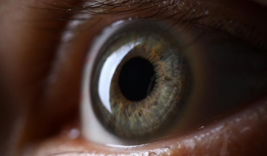 O tamanho das pupilas pode estar relacionado à inteligência, diz estudo-0
