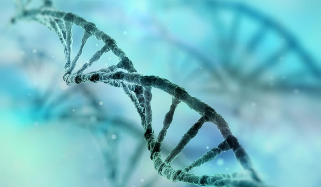 Marco científico: Genoma humano é completamente sequenciado pela primeira vez-0