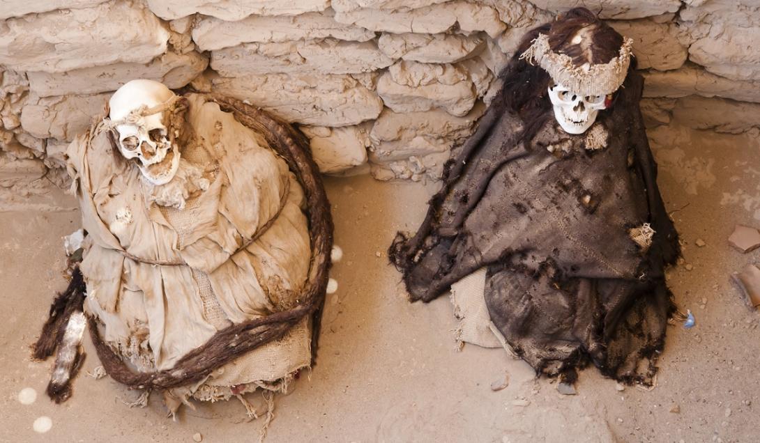 Restos mortais de crianças sacrificadas pelos incas continham cocaína e alucinógenos-0