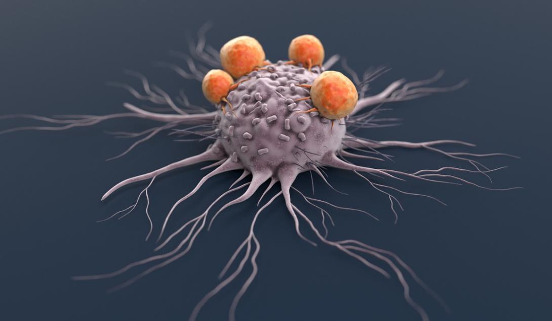 Vídeo impressionante mostra glóbulo branco atacando célula de câncer-0