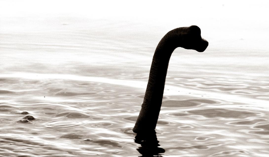 Monstro do Lago Ness: "melhor vídeo em 22 anos" mostra a suposta criatura-0