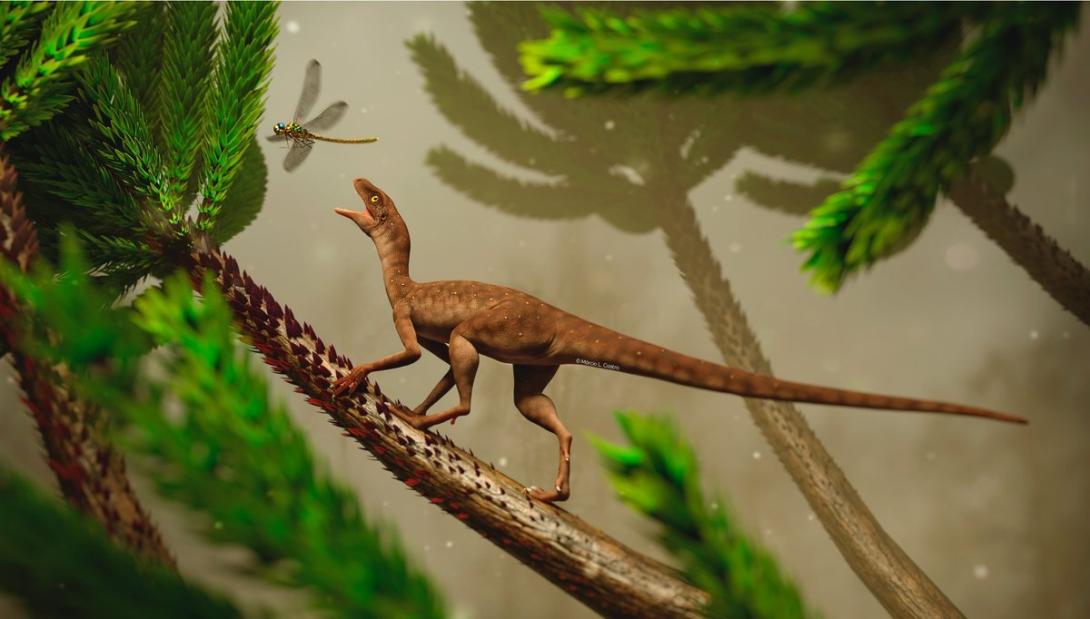 Fóssil de 225 milhões de anos encontrado no sul do Brasil pertence a uma nova espécie-0