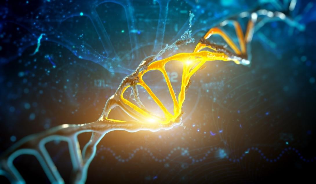 Pesquisadores descobrem mutação genética que causa aumento na inteligência -0