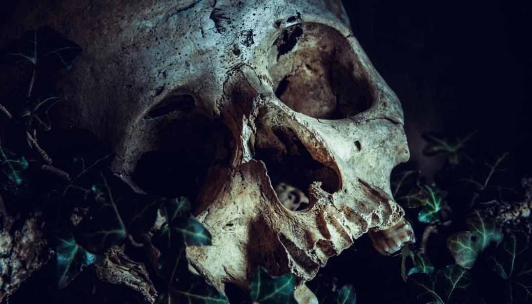 Esqueleto de "vampira" com foice no pescoço é encontrado na Polônia-0
