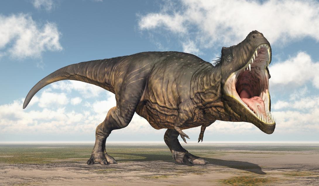 Tiranossauro rex era 70% maior do que se pensava, dizem pesquisadores-0