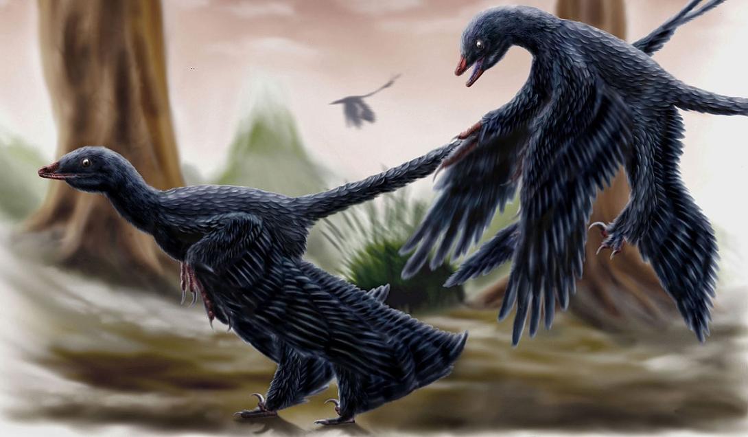 Descoberto o primeiro fóssil de um dinossauro comendo um mamífero-0