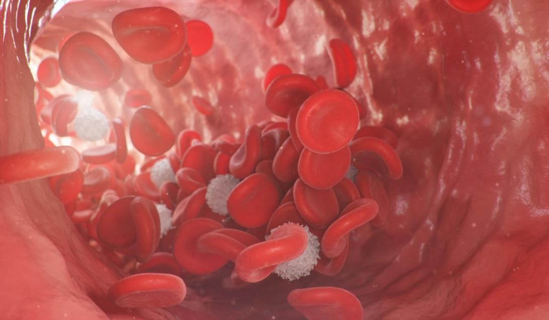 Pela primeira vez, cientistas descobrem microplásticos nos vasos sanguíneos humanos-0