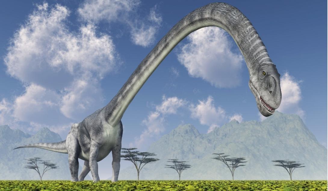 Fóssil de dinossauro com o pescoço mais longo já registrado é encontrado na China-0
