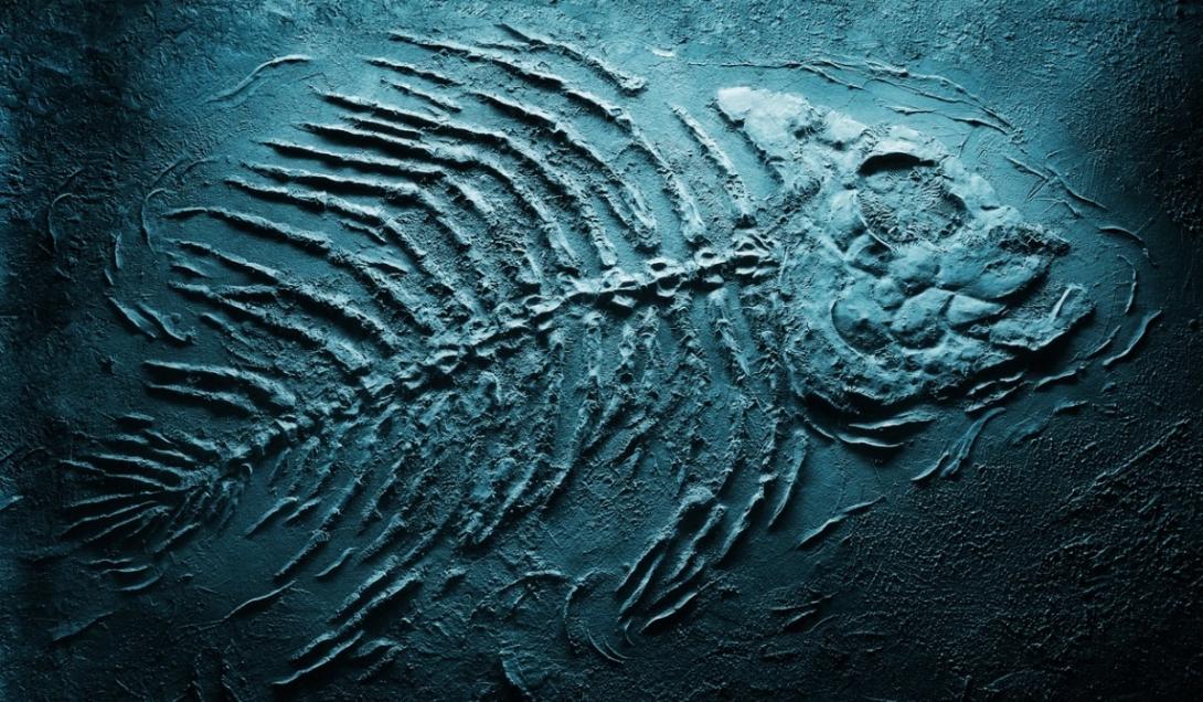 Descobertos os fósseis de um gigantesco peixe que devorava nossos ancestrais-0
