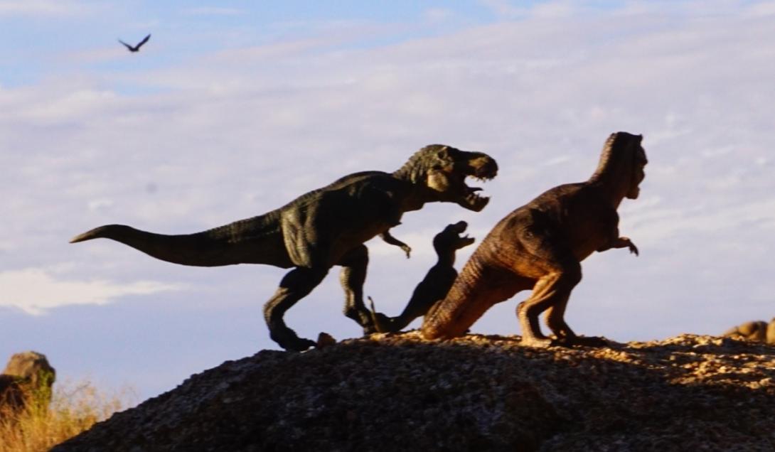 Cientistas calculam quantos Tiranossauros Rex habitaram a Terra-0