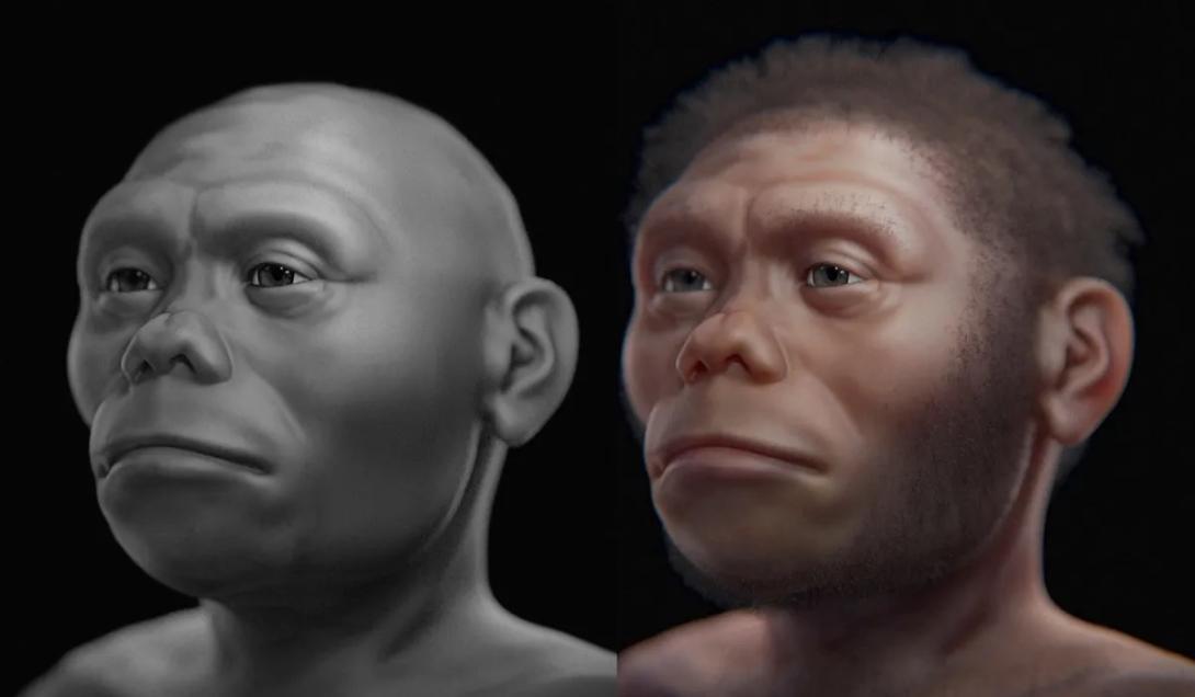 Pesquisador brasileiro faz reconstrução do rosto do “hobbit”, parente extinto dos humanos-0