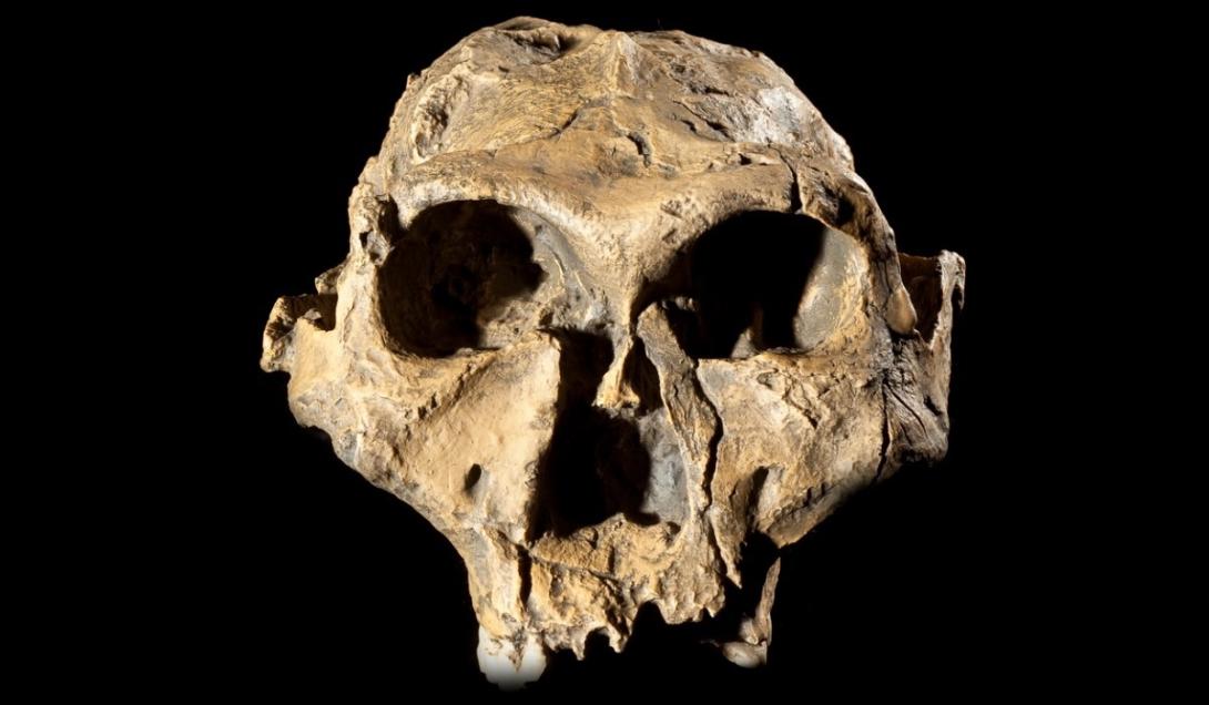 Encontrados fósseis de uma possível linhagem humana desconhecida na China-0