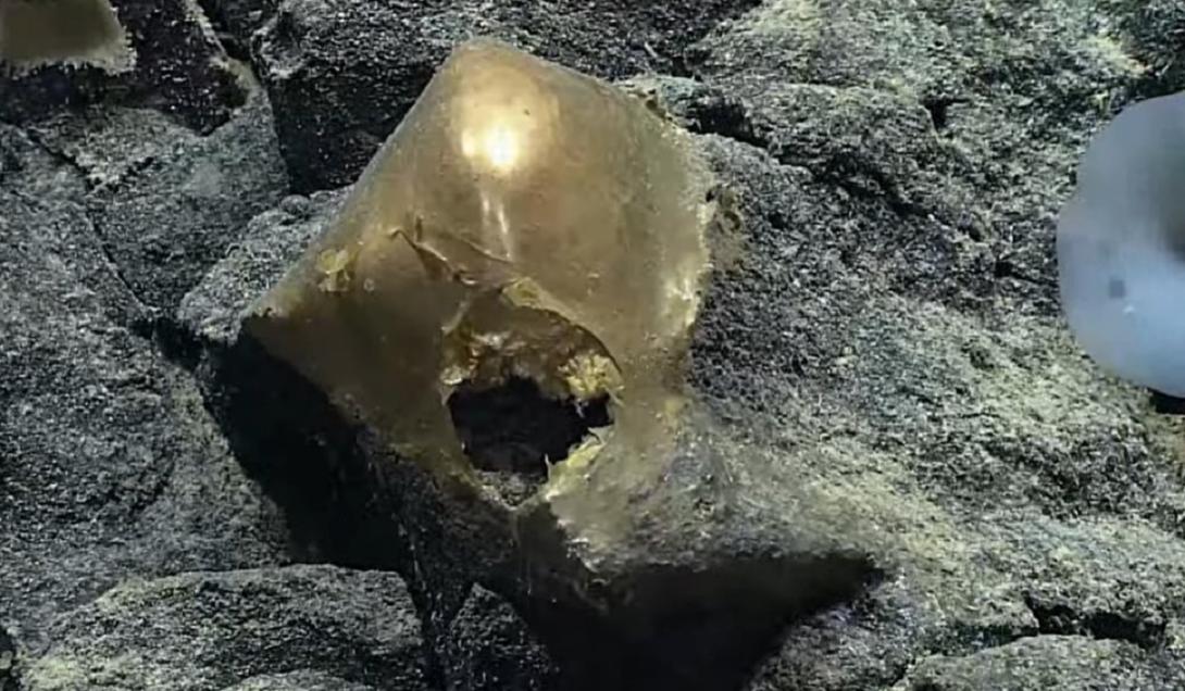 Misterioso "ovo" dourado é encontrado no fundo do mar no Alasca-0