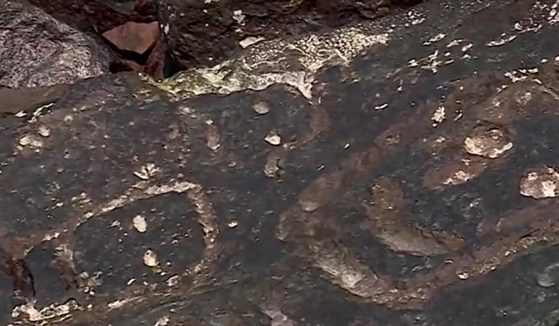 Seca na Amazônia revela rostos enigmáticos esculpidos em pedra-0