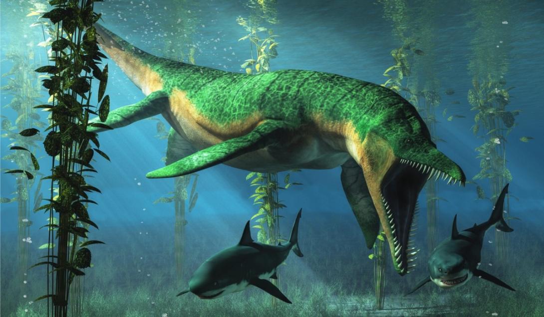 Pesquisadores encontram fósseis do mais antigo megapredador marinho-0