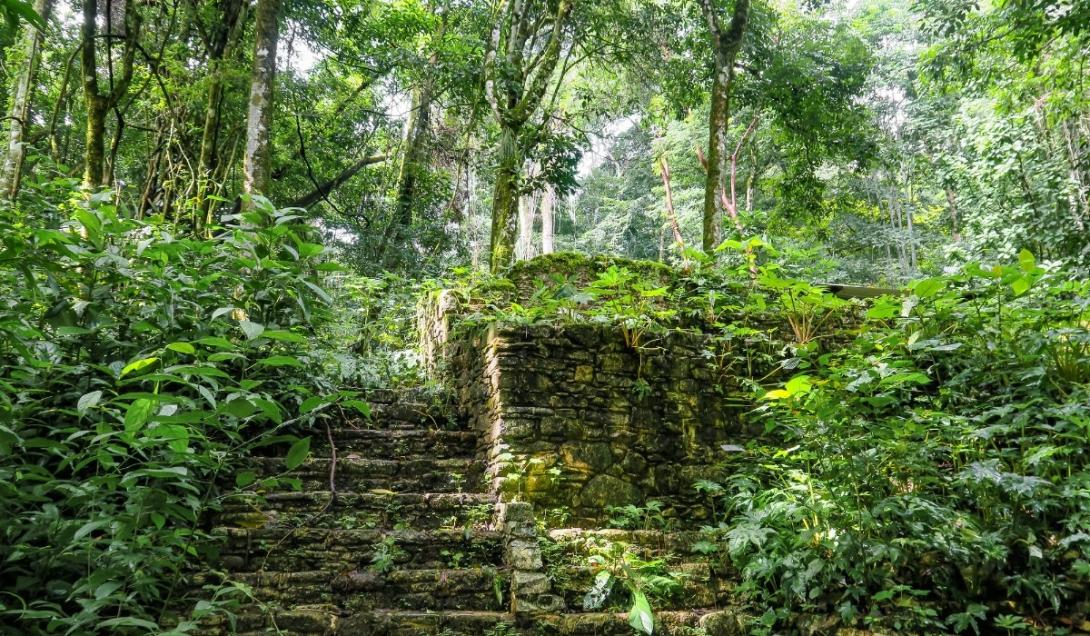 Cidades perdidas descobertas na Amazônia abrigaram civilização há 2.500 anos-0